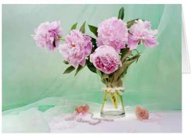 Pivoines roses Cartes