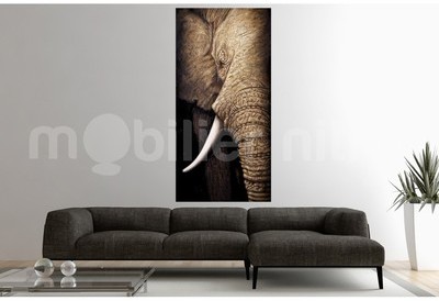 Tableau design Eléphant