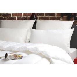 Oreiller DODO Anti-transpiration Taille 65 x 65 cm