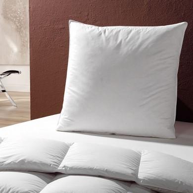 Oreiller 90% duvet / 10% plumettes - Canard 65 x 6