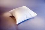 Oreiller En Duvet Doie 30 X 40 Mini-coussin