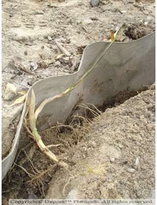 BARRIERE ANTI RHIZOME Largeur 0.70 m - XFOLIE