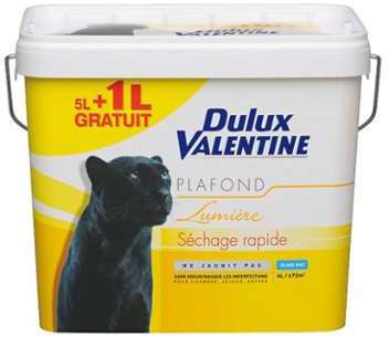 DULUX VALENTINE - VAL.PLAFOND LUMIERE 5L+1LG BLANC