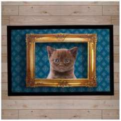 Paillasson Pets chat 60x80cm