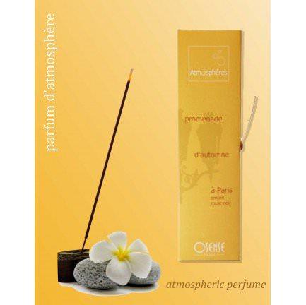 Fragrances parfums datmosphère - Ambre - Musc noi