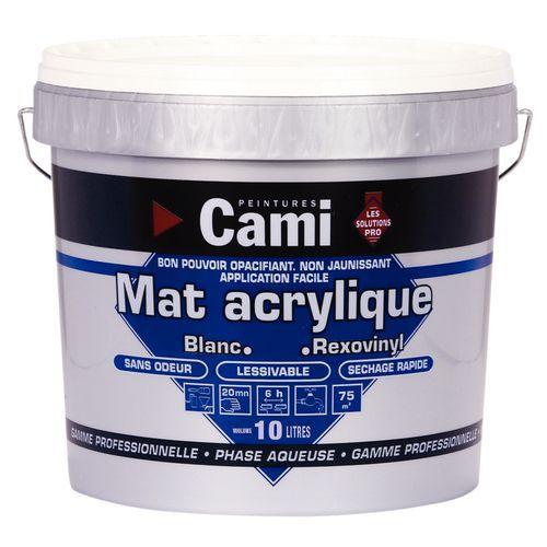 Peinture acrylique dintérieur mate