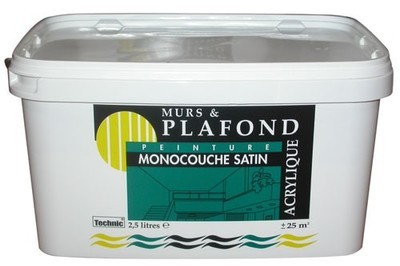 Peinture - mur et plafond - acrylique - monocouche