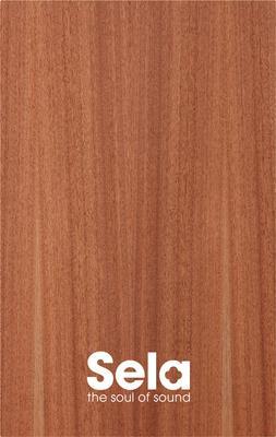 SE 019 Cajon Front Plate SE001