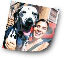 Poster photo 120x160 cm (mat satiné) Poster photo 120x160 cm (mat
