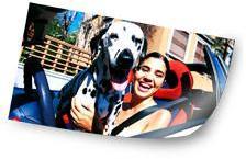 Poster photo 40x120 cm (mat satiné) Poster photo 40x120 cm (mat