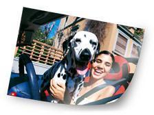Poster photo 30x45 cm (mat satiné) Poster photo 30x45 cm (mat