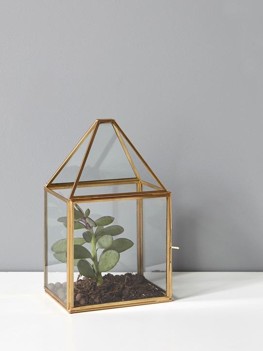 Terrarium verre et métal verre