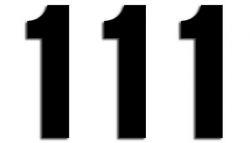 NUMERO DE COURSE 1 NOIR 130X75mm LOT DE 3