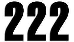 NUMERO DE COURSE 2 NOIR 130X75mm LOT DE 3