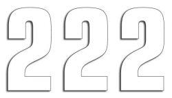 NUMERO DE COURSE 2 BLANC 160X75mm LOT DE 3