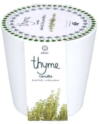 Thym à faire pousser en pot 12 cm céramique blanc Thym à faire pousser en pot