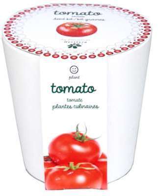 Tomates à faire pousser en pot 12 cm céramique blanc Tomates à faire pousser en