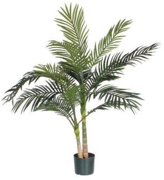 Palmier Areca Golden Cane 120cm
