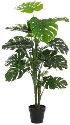 Monstera déco et son pot