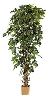 Plante artificielle