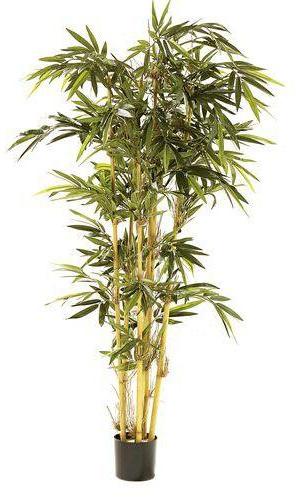 Plante artificielle