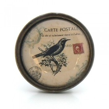 Bouton de meuble Carte postale Oiseau noir - Colle