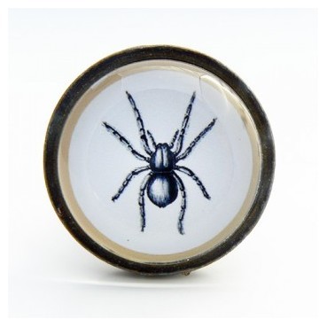 Bouton de meuble insecte Araignée - Cabinet de cur