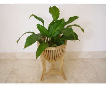 Sellette pour plantes en forme de cache pot Sellette pour plantes en forme