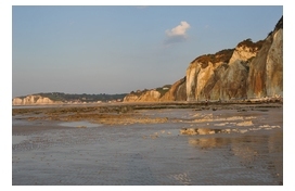 Falaise pourville sur mer