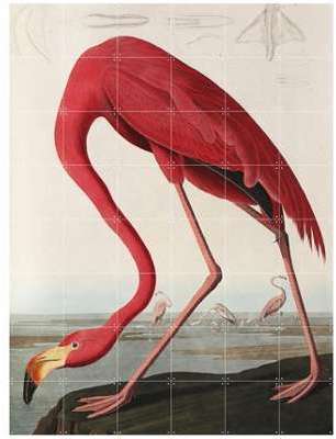 Décoration murale IXXI Musée Teylers Flamant rose