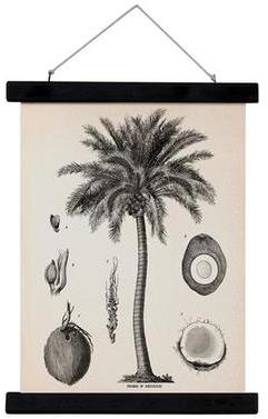 Affiche scolaire HKLiving Palmiers 40 x 30 cm