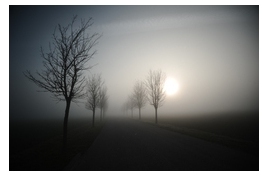 Brume