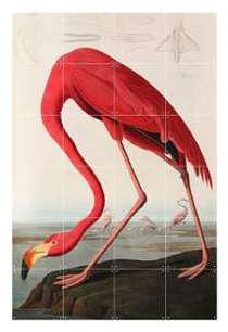 Décoration murale IXXI Flamant rose du musée Teyle