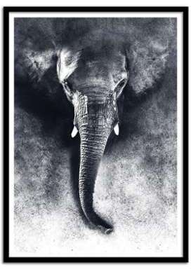 - Affiche art 50x70 Elephant Noir et blanc - WALL