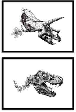 - 2 Affiches 30x40 cm Dinosaur skullheads - WALL E