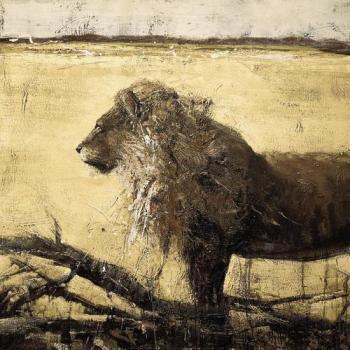 Affiche Lion Affiche Lion