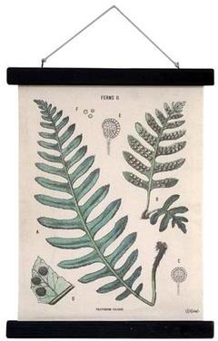 Affiche scolaire HKliving Botanique 40 x 30 cm