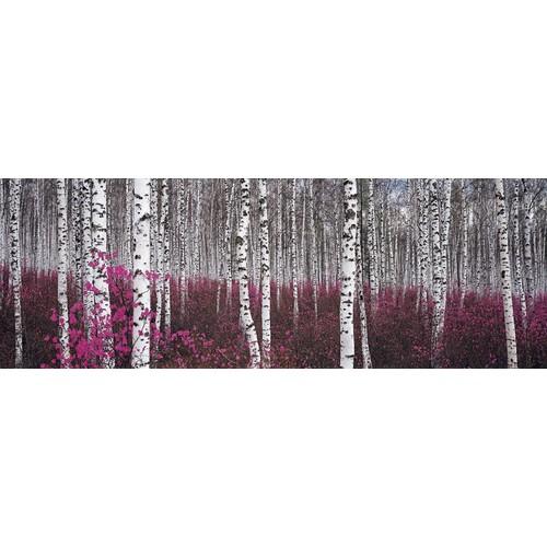Affiche forêt de bouleaux Chine Affiche forêt de bouleaux