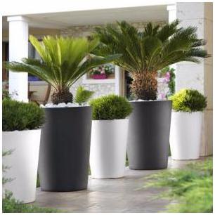 Pots dextérieur Cassio