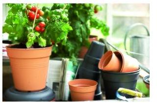Pot 11cm Green Basics Elho coloris terre cuite Pot 11cm Green Basics Elho