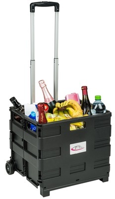 Chariot de Courses à Roulettes Pliable 42 cm x 37