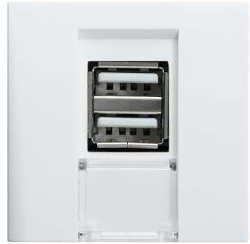 Systo chargeur USB 2 modules Blanc (WS110) - HAGER