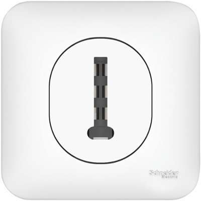 Telephone Schneider Ovalis Prise T 8P + Plaque