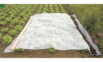Voile dhivernage et de forçage 5 m x 2 m
