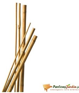 Botte de tuteurs en bambou naturel
