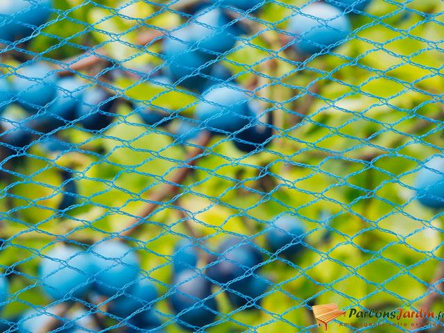 Filet anti-oiseaux Nano en maille tricotée polyéth