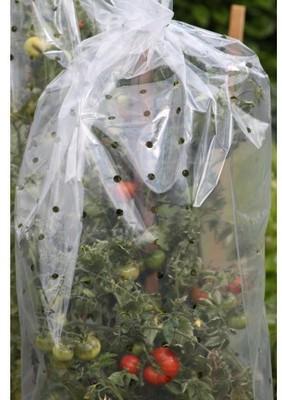 Housses de forçage tomates (10 m)