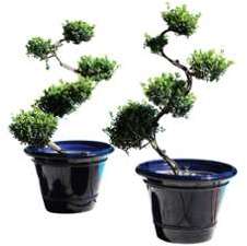 Pot bleu gamme le toscane 58 cm Pot bleu gamme le toscane