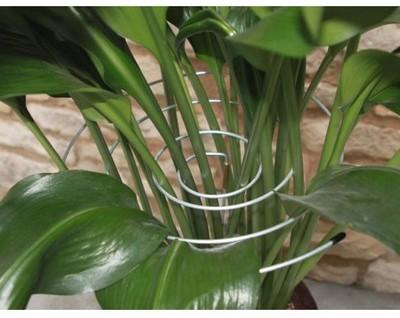 Tuteurs spirale en acier pour plantes (les 3)