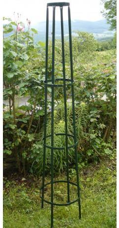 Tuteur colonne corset en acier vert